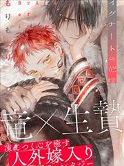 神奇宝贝漫画第三卷城都纪行的封面插图，古寺与山道的水墨构图