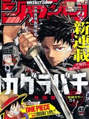 神奇宝贝漫画第五卷神奥雪线的封面插图，雪山与湖面的留白构图